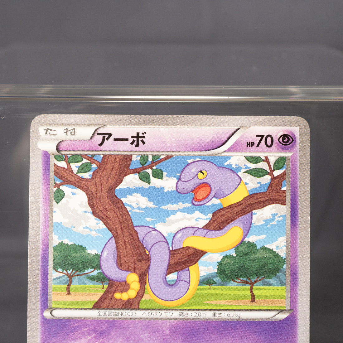 [LP] Ekans 024/060 XY1  Pokemon Card TCG Japanese