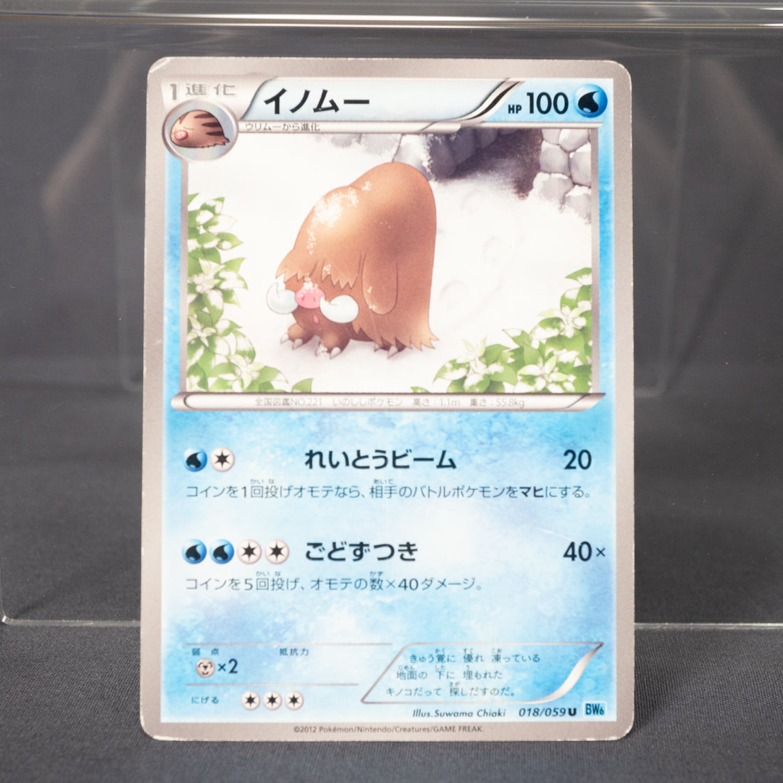 [MP]  Piloswine 018/059 BW6   Pokemon Card TCG Japanese