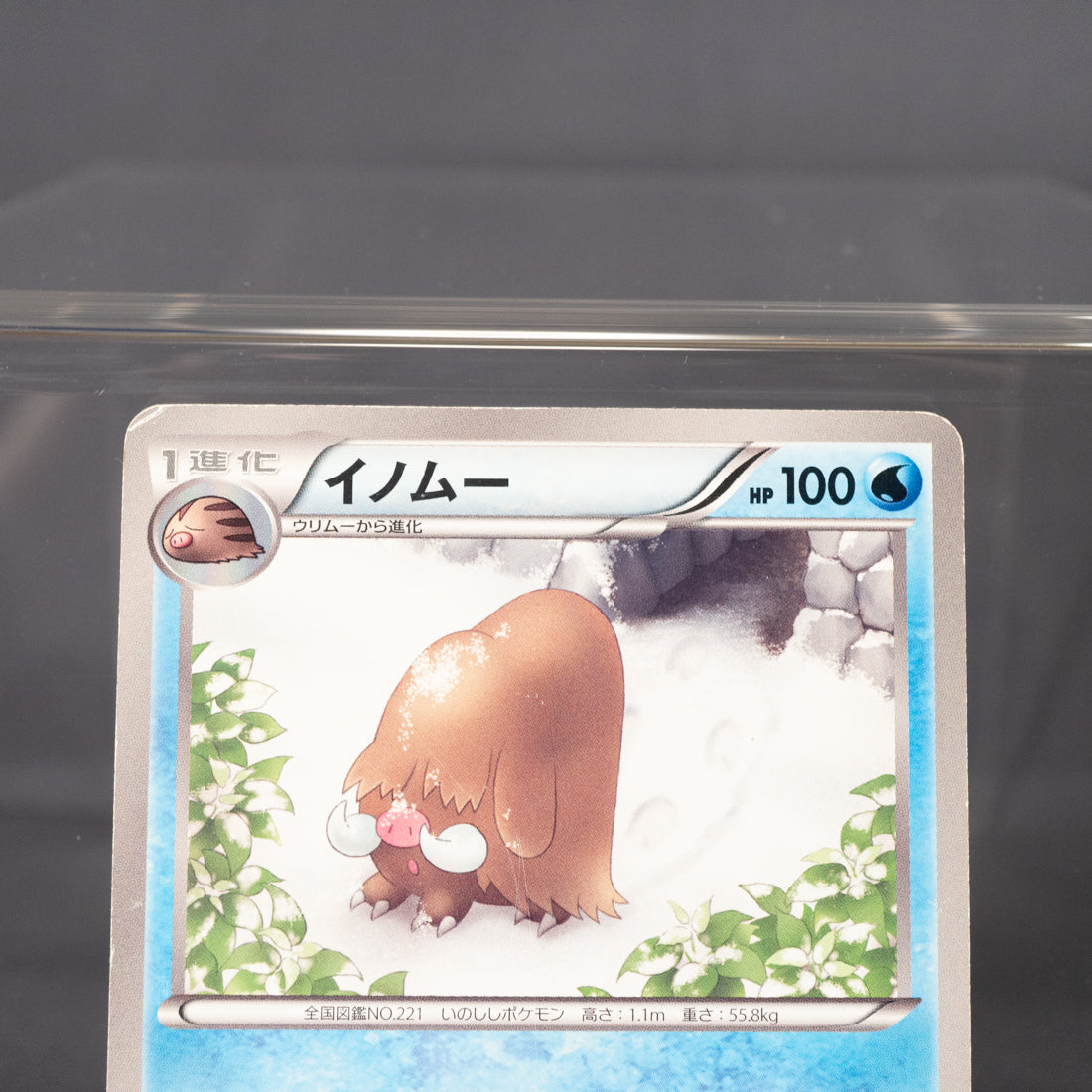 [MP]  Piloswine 018/059 BW6   Pokemon Card TCG Japanese