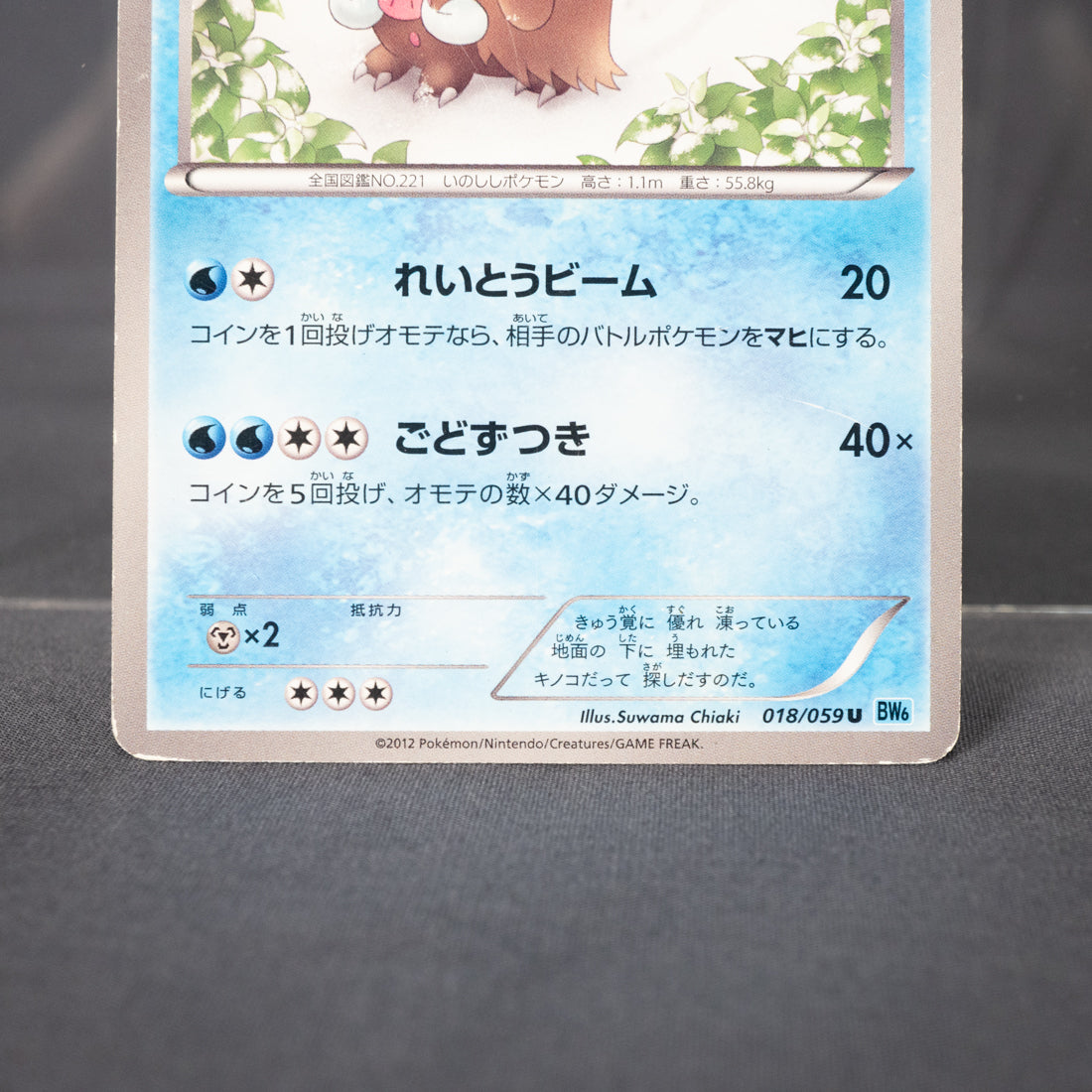 [MP]  Piloswine 018/059 BW6   Pokemon Card TCG Japanese