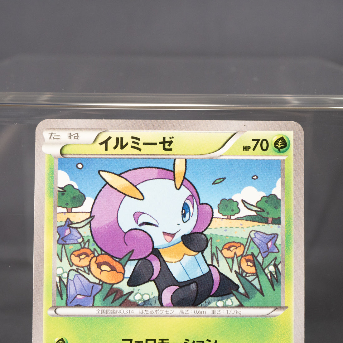 [LP] Scatterbug 006/060 XY1  Pokemon Card TCG Japanese