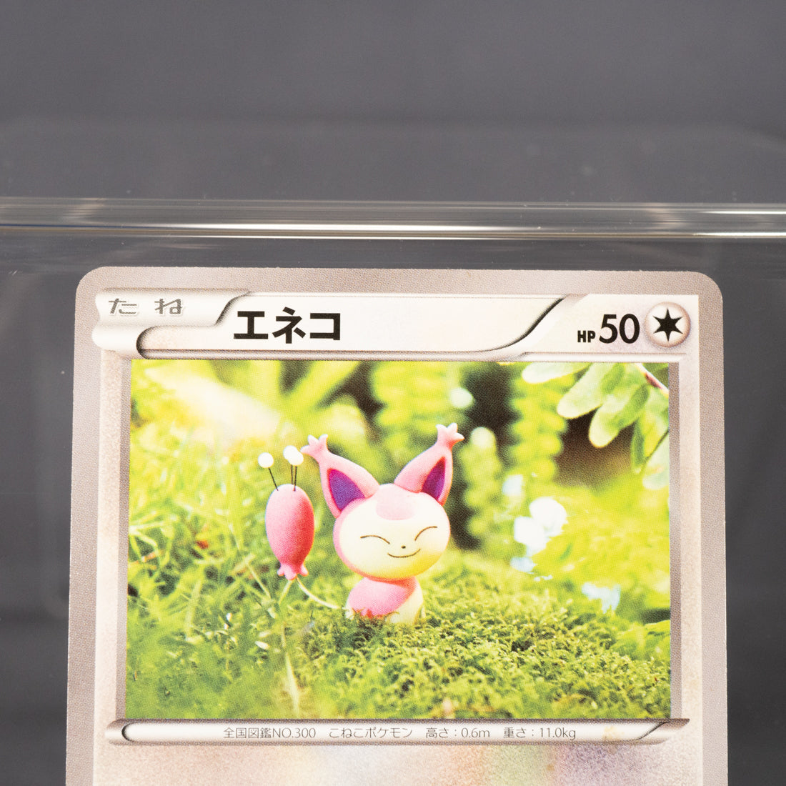 [LP]  Skitty 054/070 XY5  Yuka Morii Pokemon Card TCG Japanese