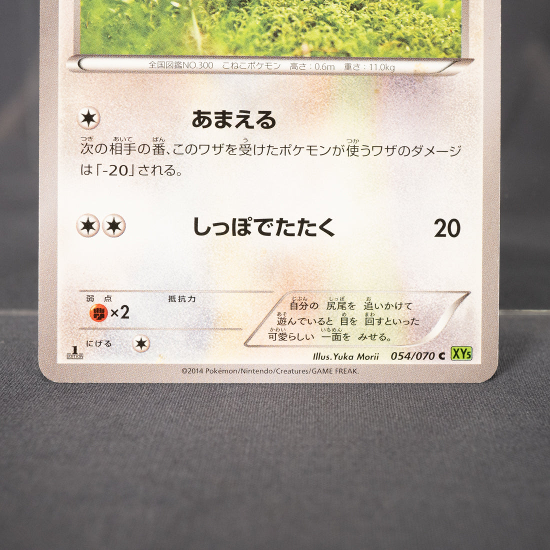 [LP]  Skitty 054/070 XY5  Yuka Morii Pokemon Card TCG Japanese