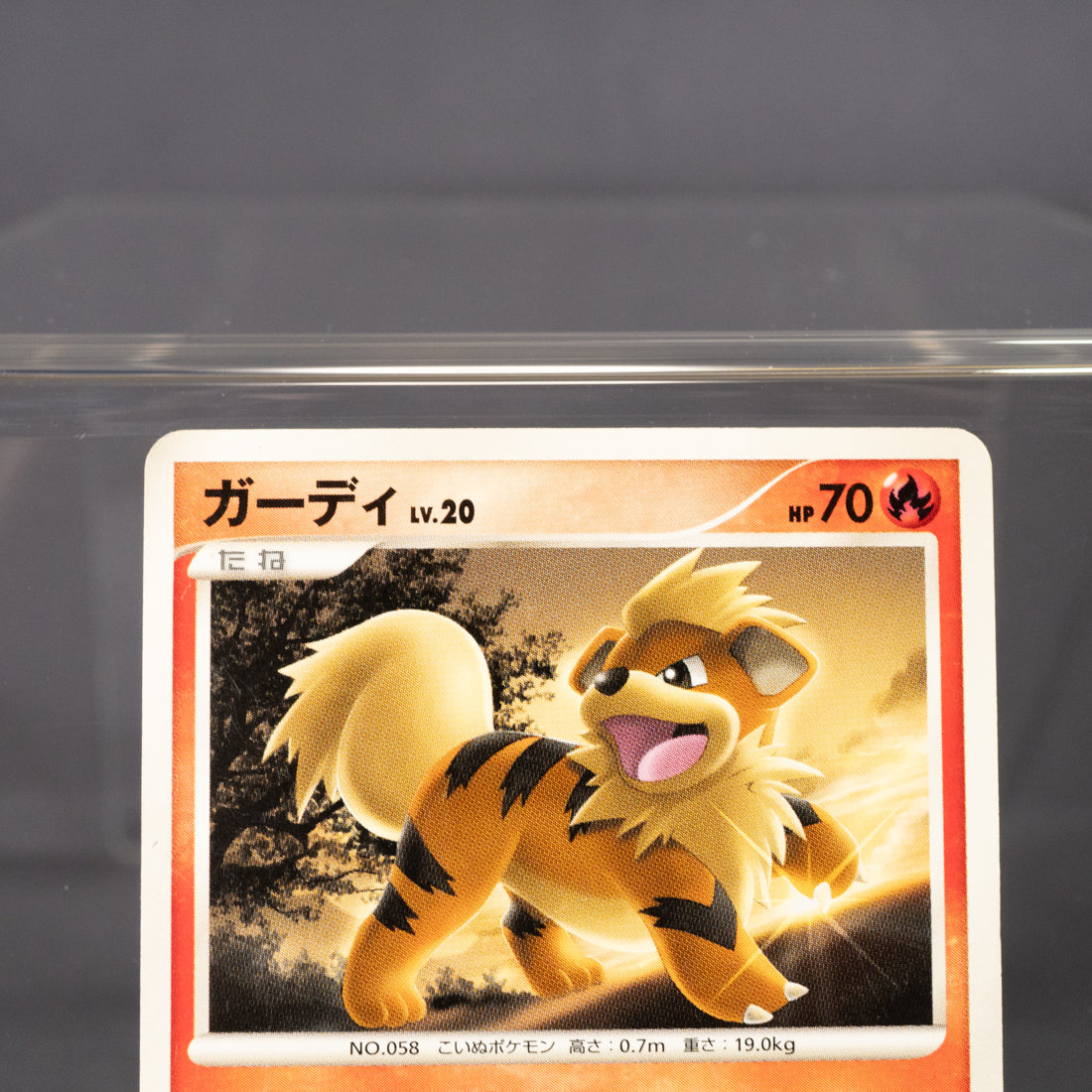 [LP] Growlithe DPBP#063 DP3  Pokemon Card TCG Japanese