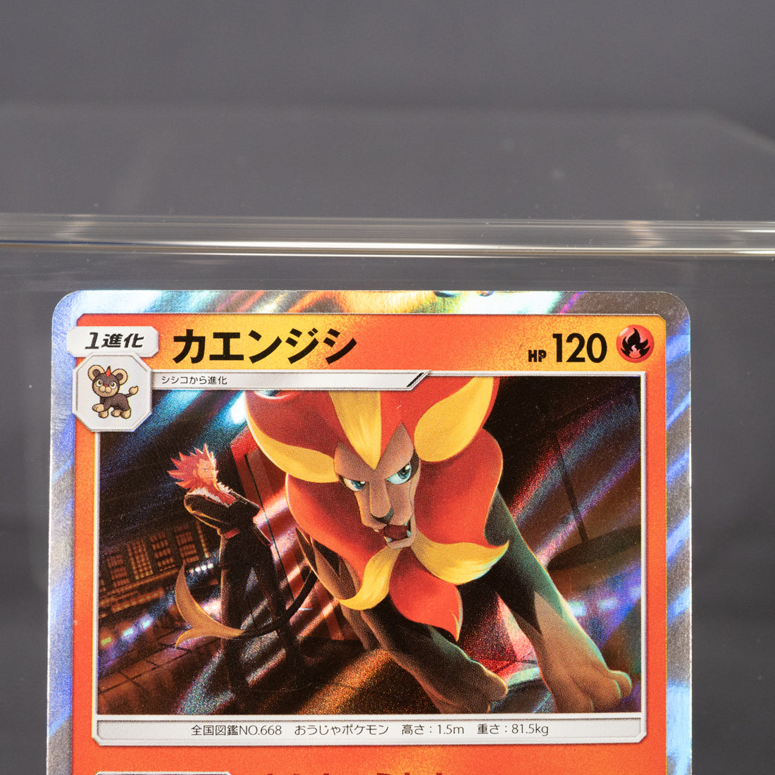 [LP]  Pyroar 016/094 SM6  Pokemon Card TCG Japanese
