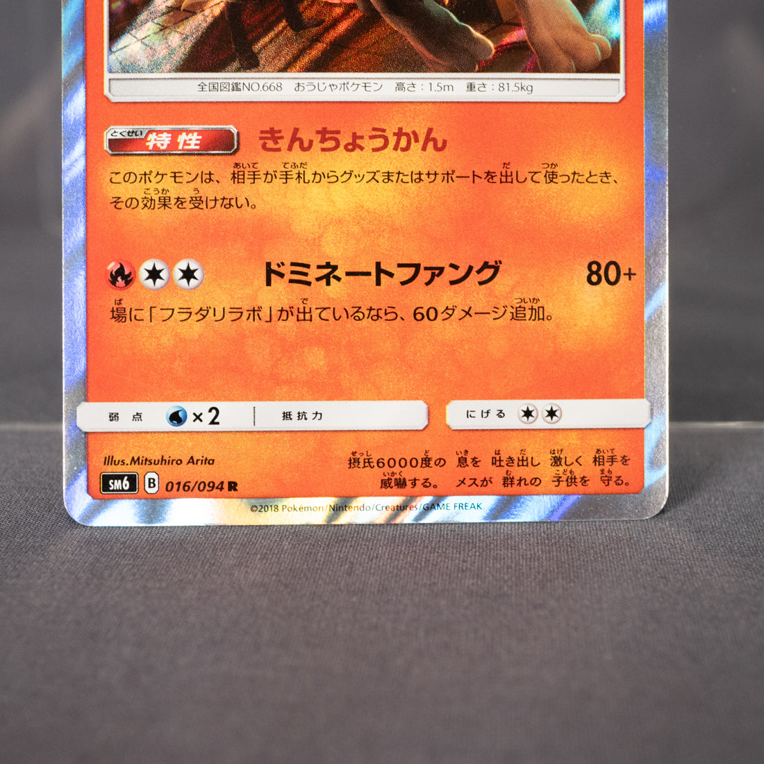 [LP]  Pyroar 016/094 SM6  Pokemon Card TCG Japanese