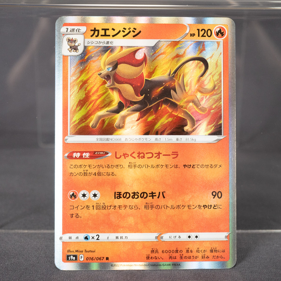 [LP] Pyroar  016/067 R  Pokemon Card TCG Japanese