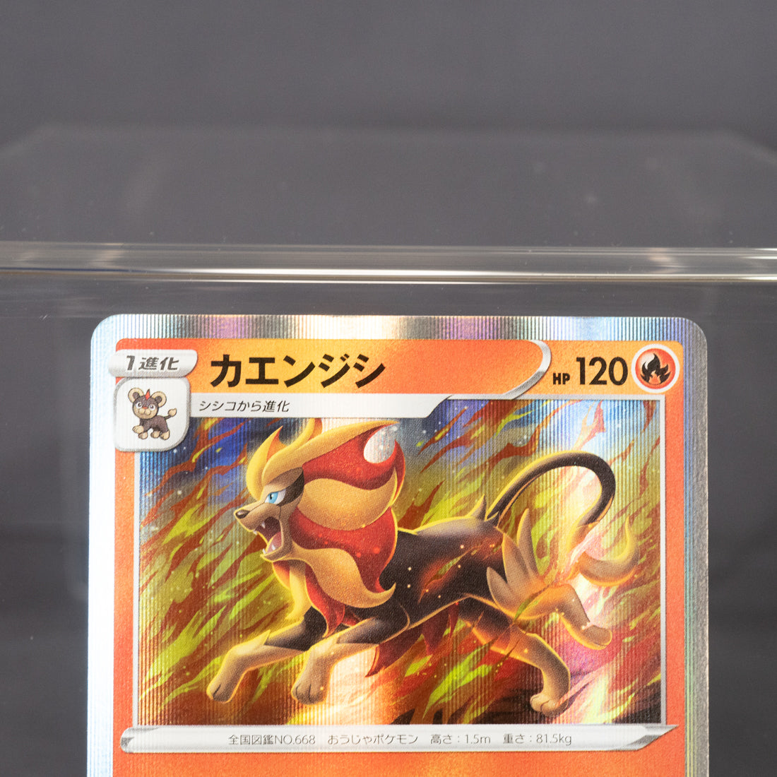 [LP] Pyroar  016/067 R  Pokemon Card TCG Japanese