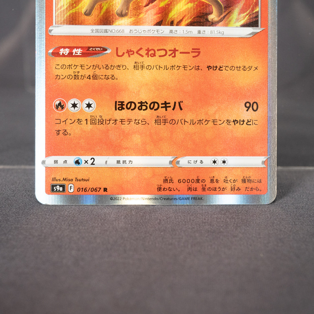 [LP] Pyroar  016/067 R  Pokemon Card TCG Japanese