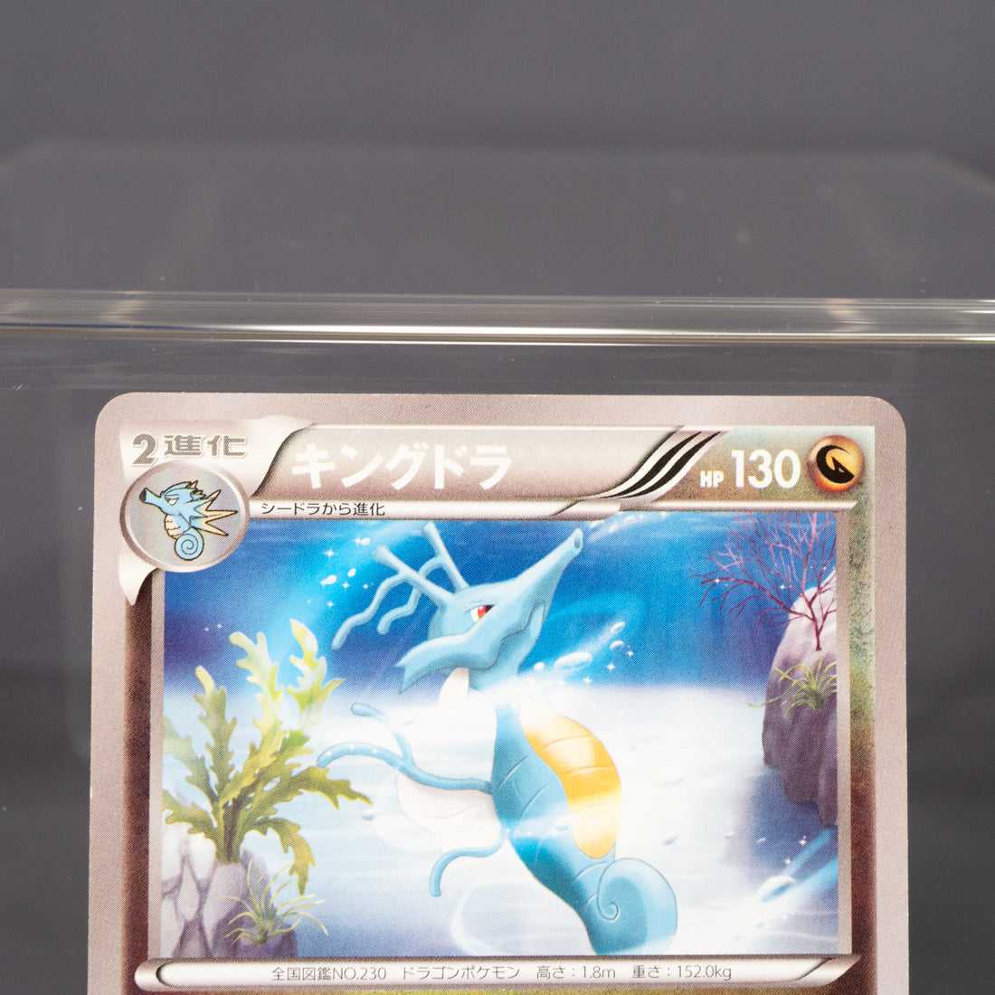 [MP] Kingdra 052/070 1st Edition XY5   Pokemon Card TCG Japanese