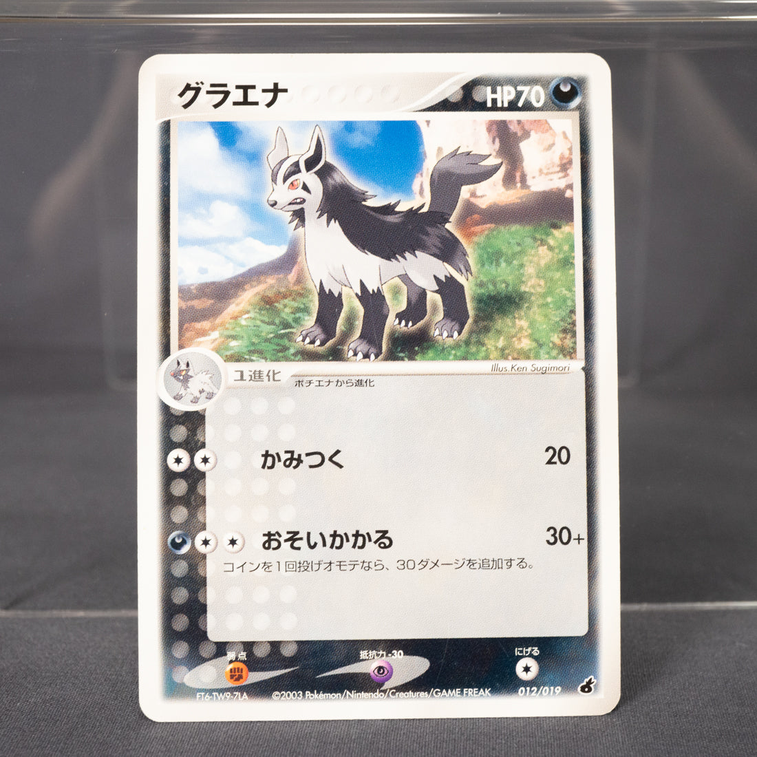 [LP] Mightyena 012/019 2003  Pokemon Card TCG Japanese