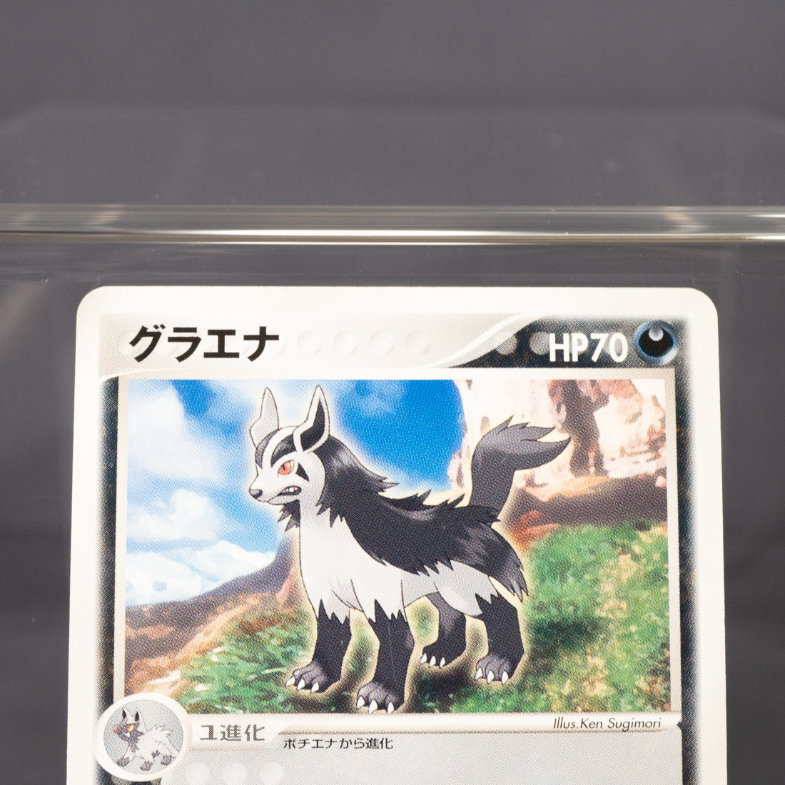 [LP] Mightyena 012/019 2003  Pokemon Card TCG Japanese