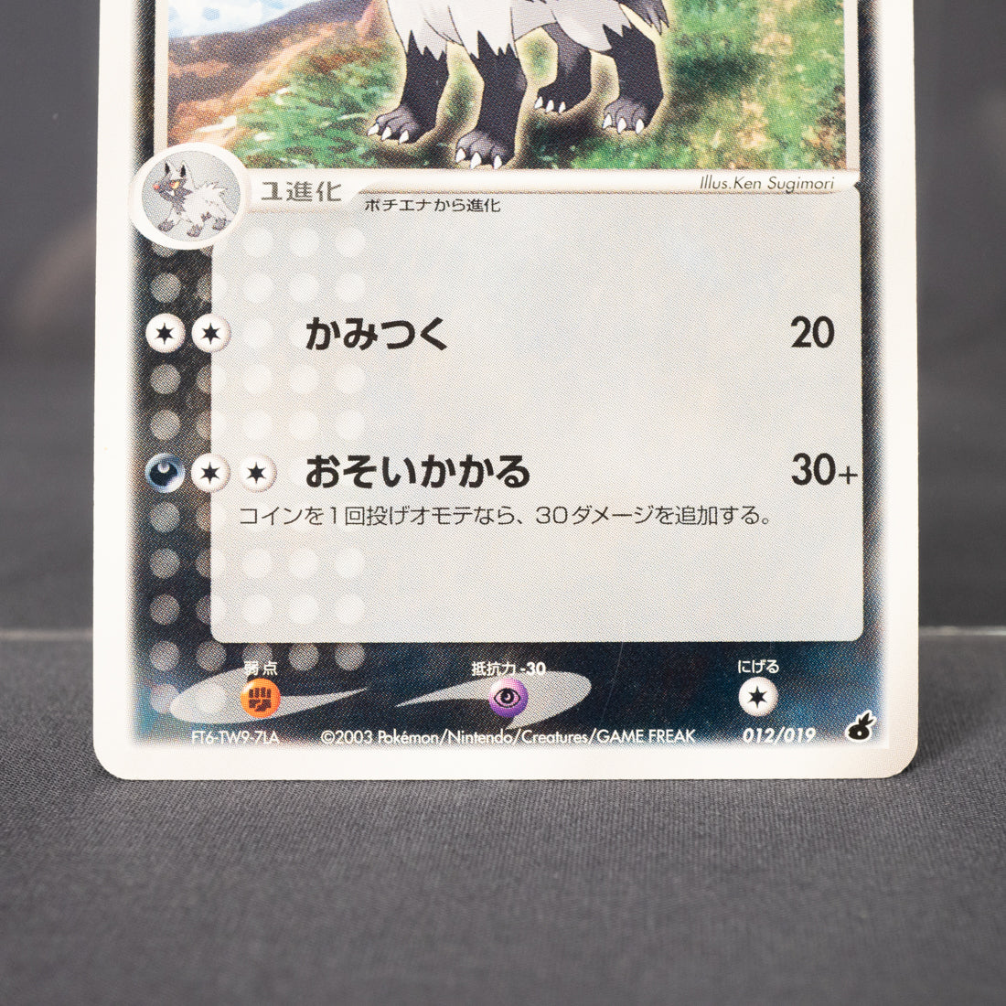 [LP] Mightyena 012/019 2003  Pokemon Card TCG Japanese
