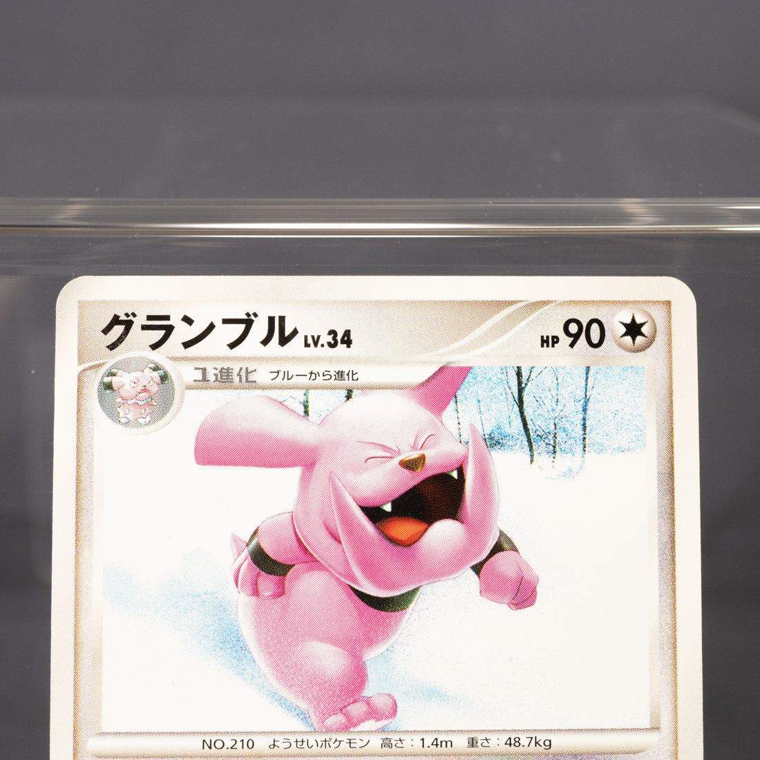 [LP] Granbull DPBP#266 DP4  Pokemon Card TCG Japanese