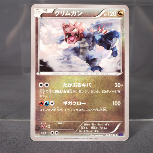 [LP] Druddigon C 043/054 XY  Pokemon Card TCG Japanese