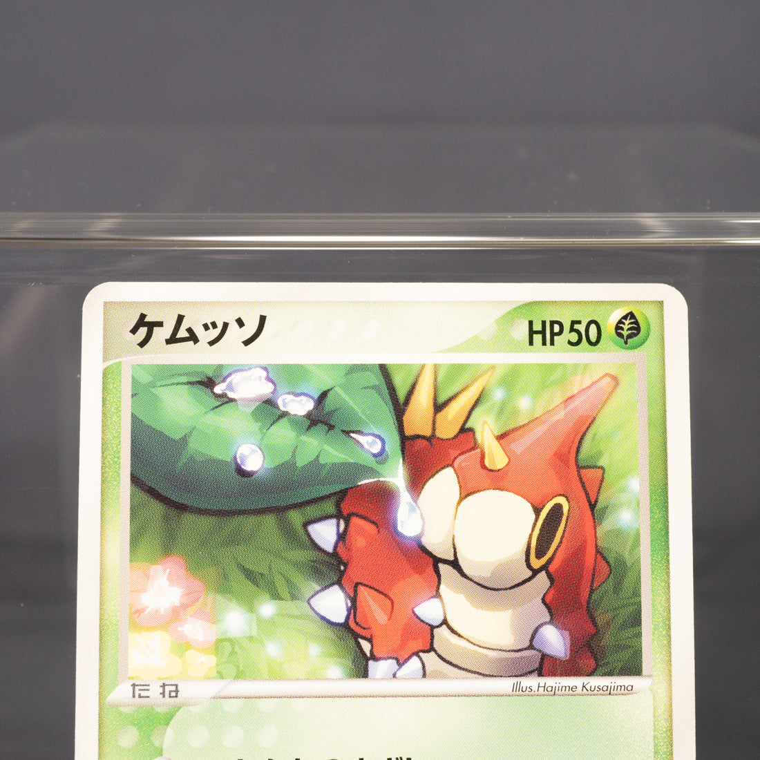 [LP]  Wurmple 004/055 ADV  Pokemon Card TCG Japanese