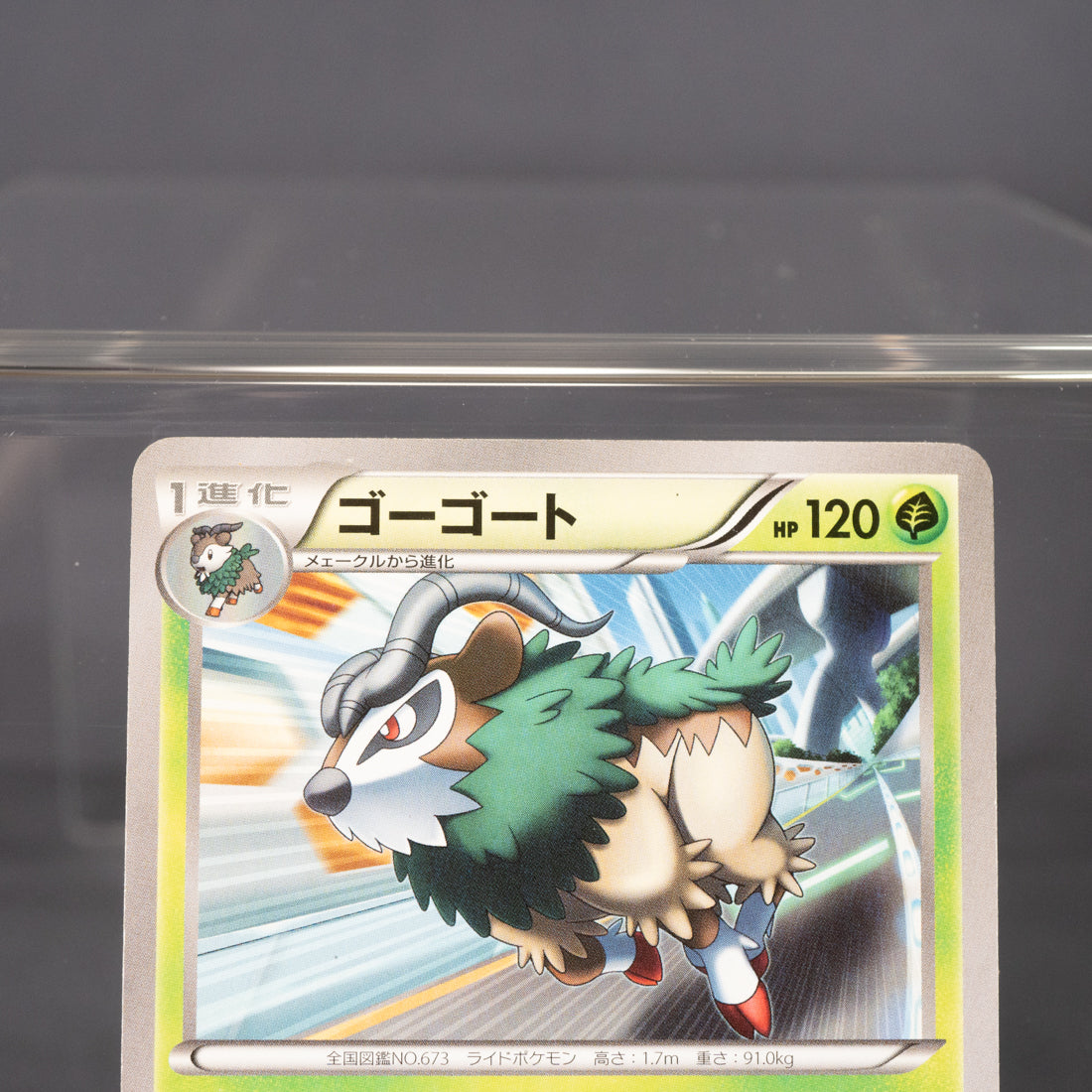 [LP] Gogoat 008/059 XY8   Pokemon Card TCG Japanese