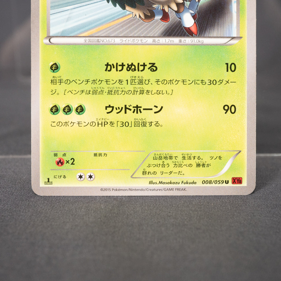 [LP] Gogoat 008/059 XY8   Pokemon Card TCG Japanese