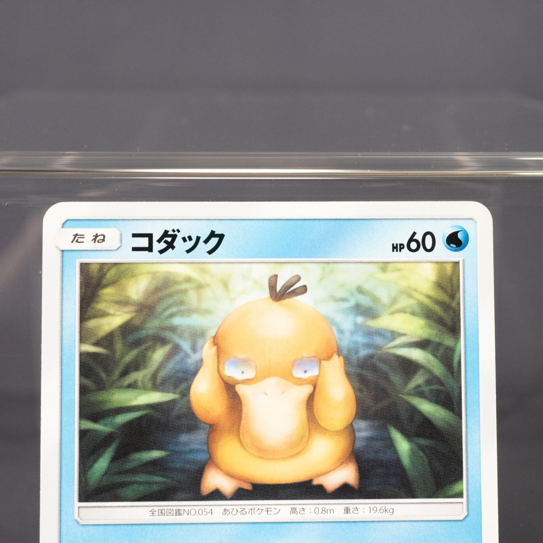 [LP] Psyduck 017/064 sm11a  Pokemon Card TCG Japanese