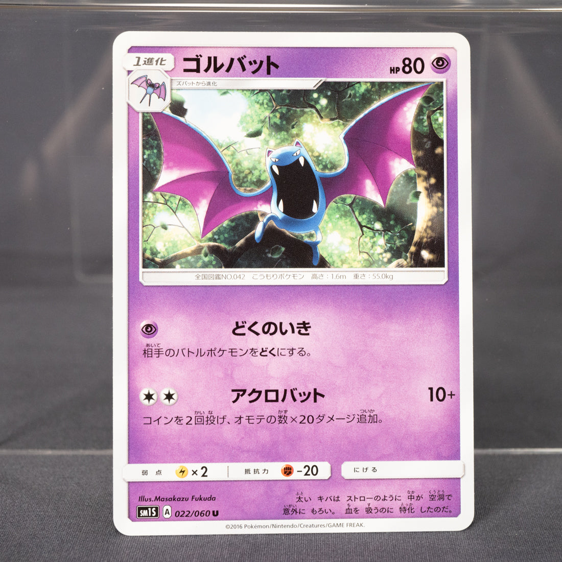 [LP] Golbat 022/060 sm1S  Pokemon Card TCG Japanese