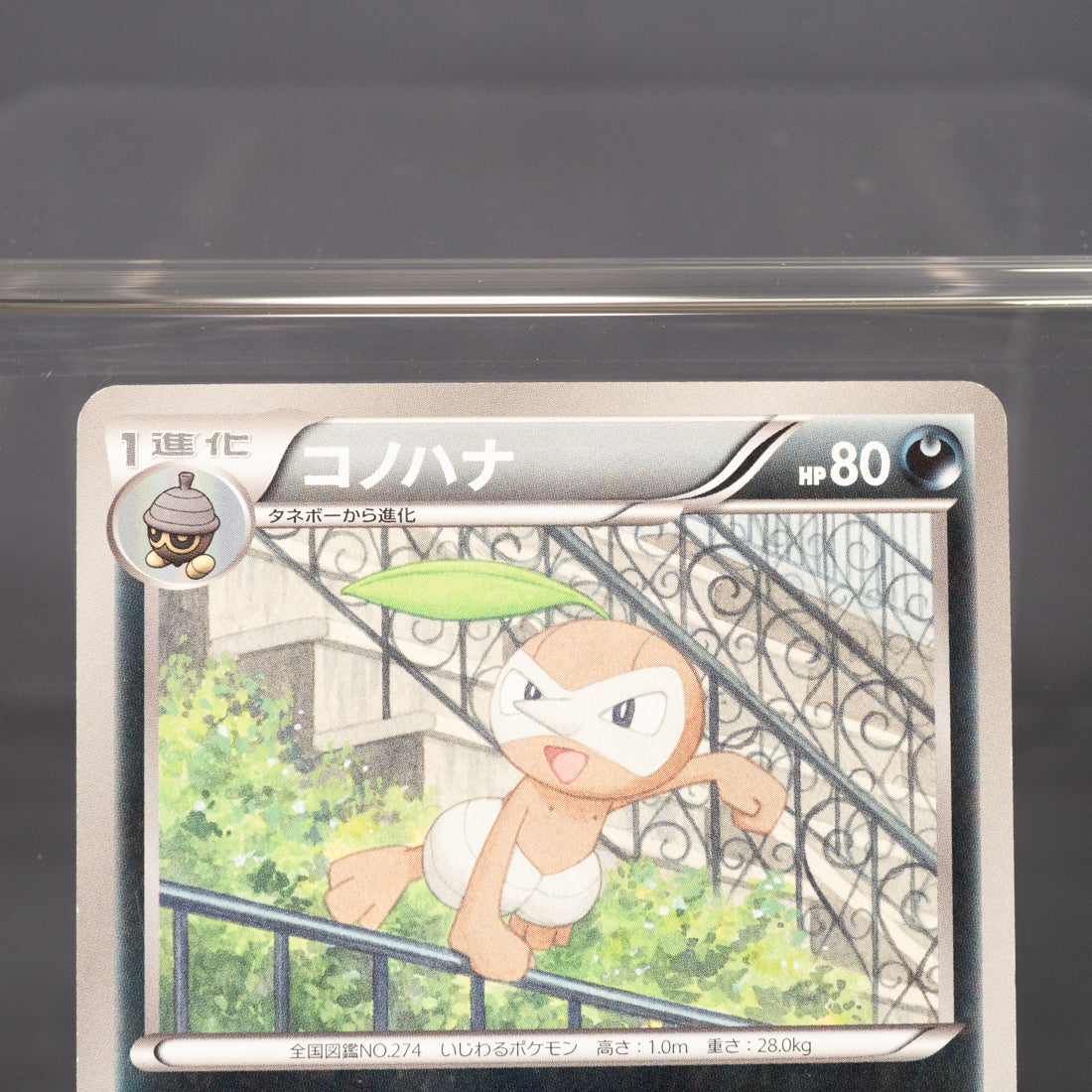 [LP] Nuzleaf 039/052  BW3  Pokemon Card TCG Japanese