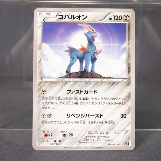 [LP]  Cobalion XY 085/171  Pokemon Card TCG Japanese