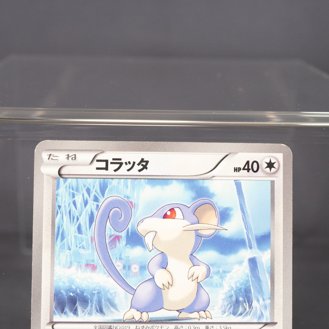 [MP] Rattata 040/051  BW8  Pokemon Card TCG Japanese