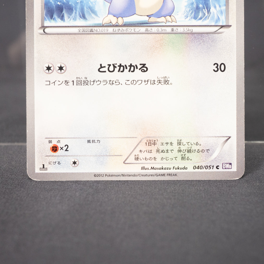 [MP] Rattata 040/051  BW8  Pokemon Card TCG Japanese