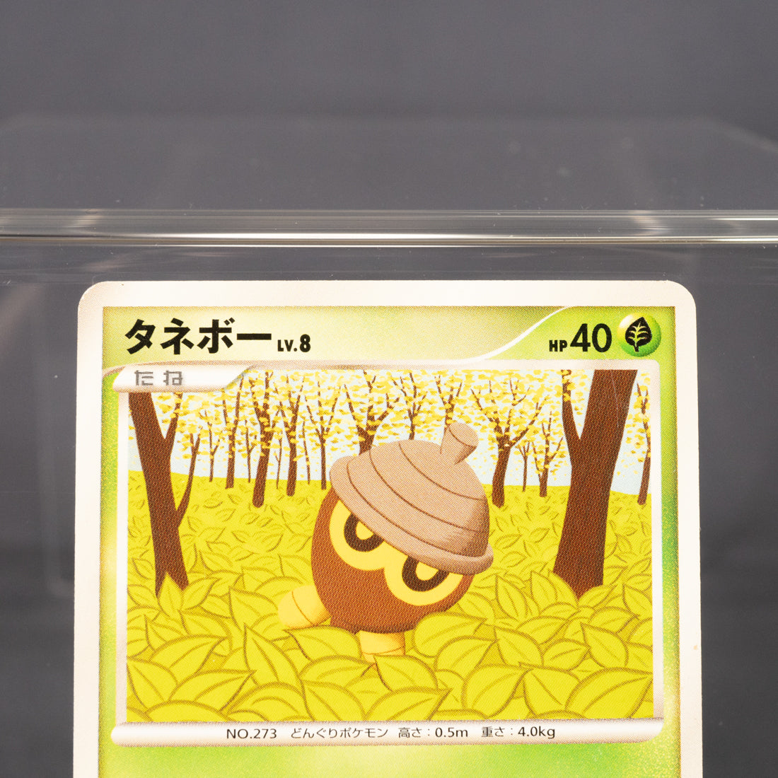 [LP] Seedot 004/090 Pt2  Pokemon Card TCG Japanese
