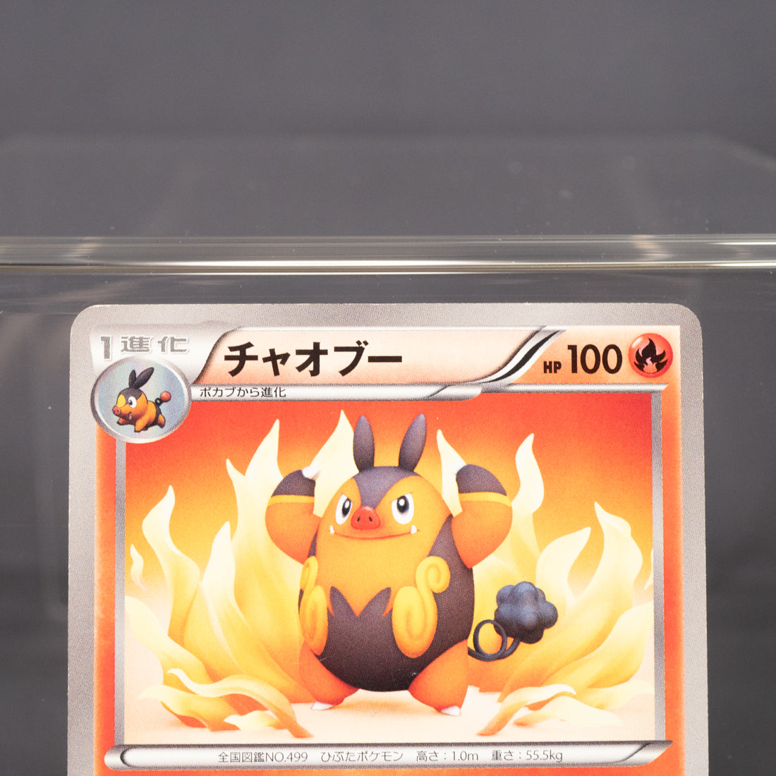 [LP] Pignite 009/053 BW1 2010  Pokemon Card TCG Japanese