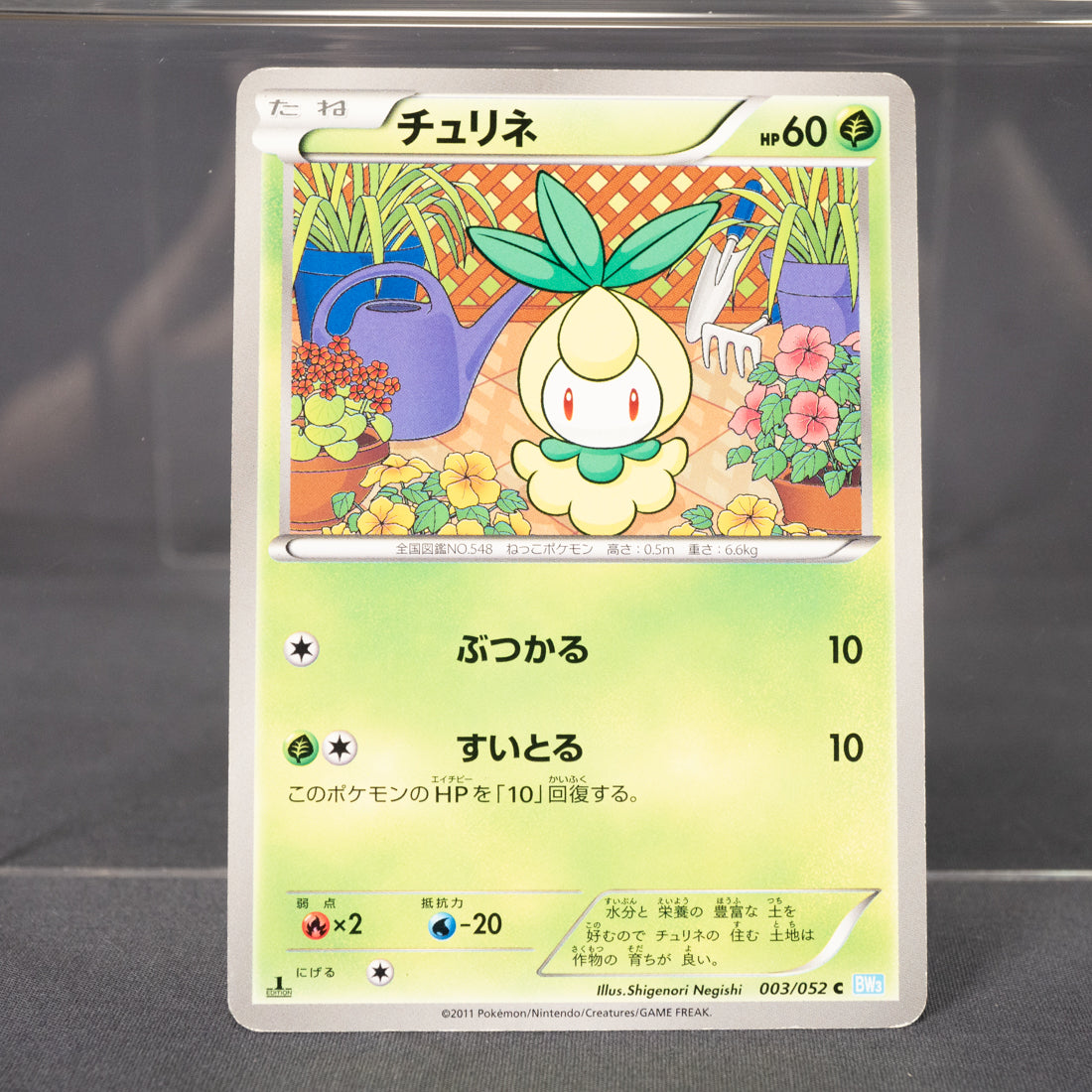 [MP] Petilil  BW3 003/052 1st Edition 2011  Pokemon Card TCG Japanese