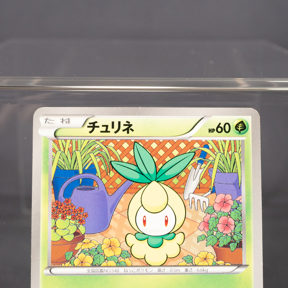 [MP] Petilil  BW3 003/052 1st Edition 2011  Pokemon Card TCG Japanese