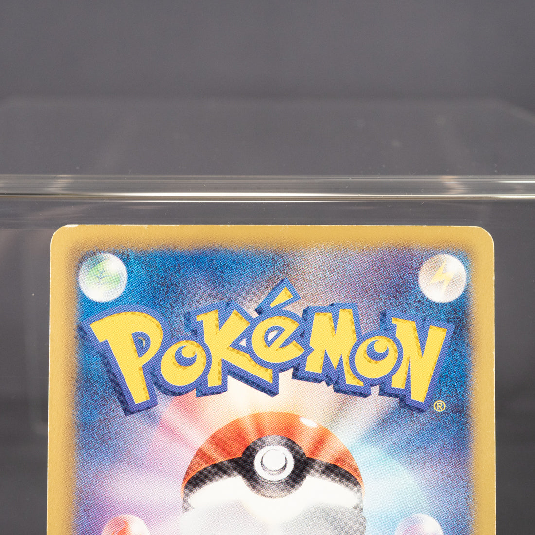 [MP] Petilil  BW3 003/052 1st Edition 2011  Pokemon Card TCG Japanese