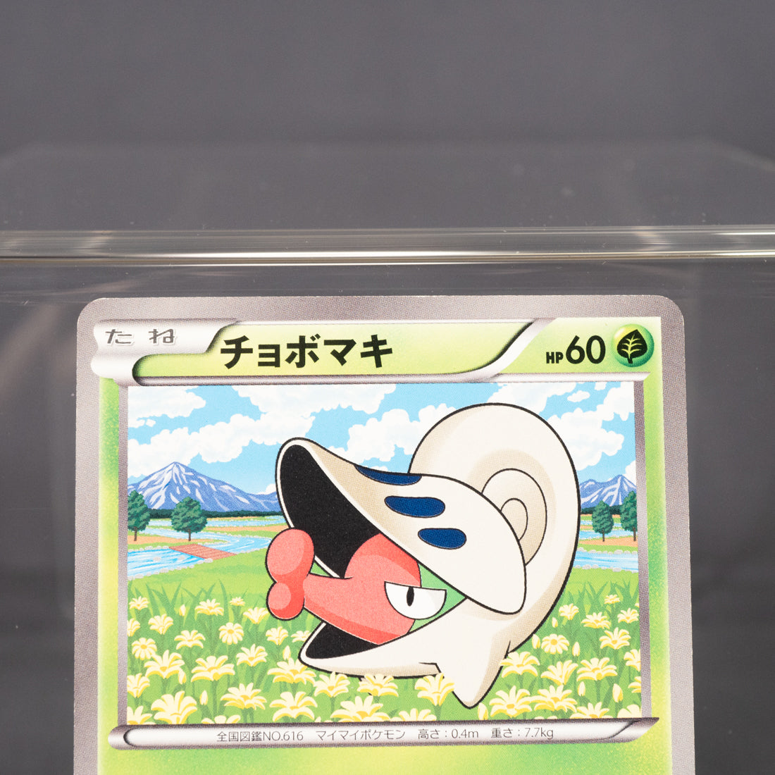 [LP] Shelmet 006/069  BW4  Pokemon Card TCG Japanese