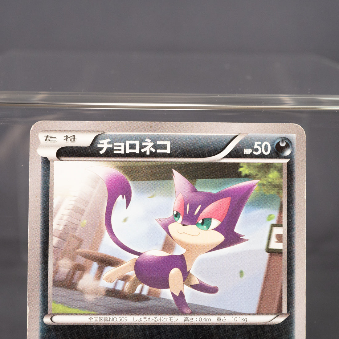 [MP] Purrloin 055/088 XY4  Pokemon Card TCG Japanese