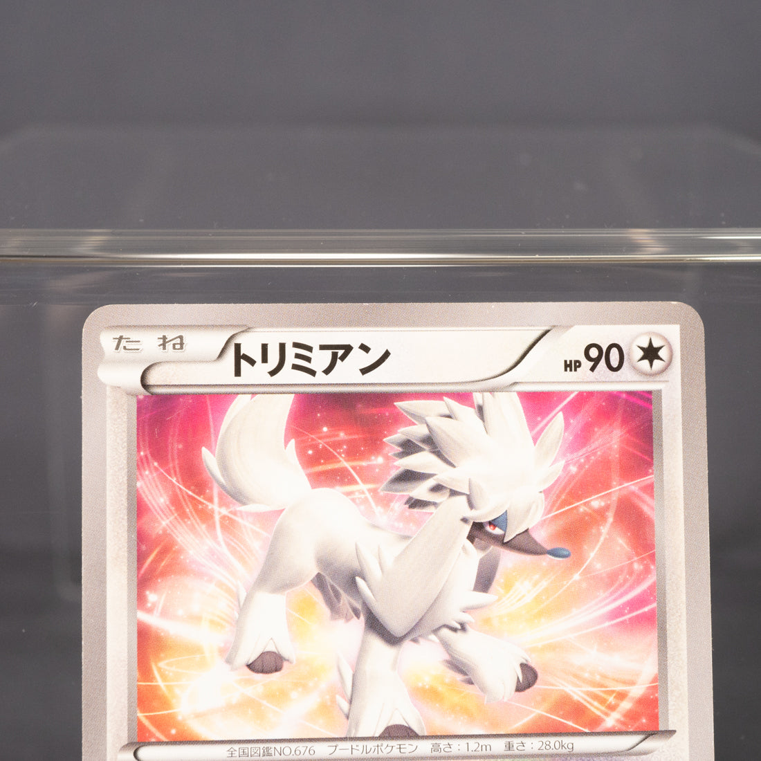[LP] Furfrou 027/049 MMB  Pokemon Card TCG Japanese