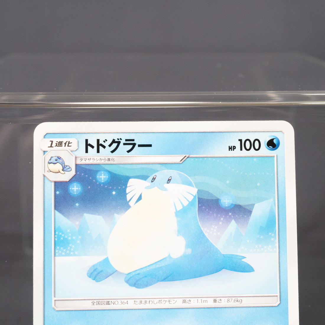 [LP] Sealeo 021/095 2019  Pokemon Card TCG Japanese