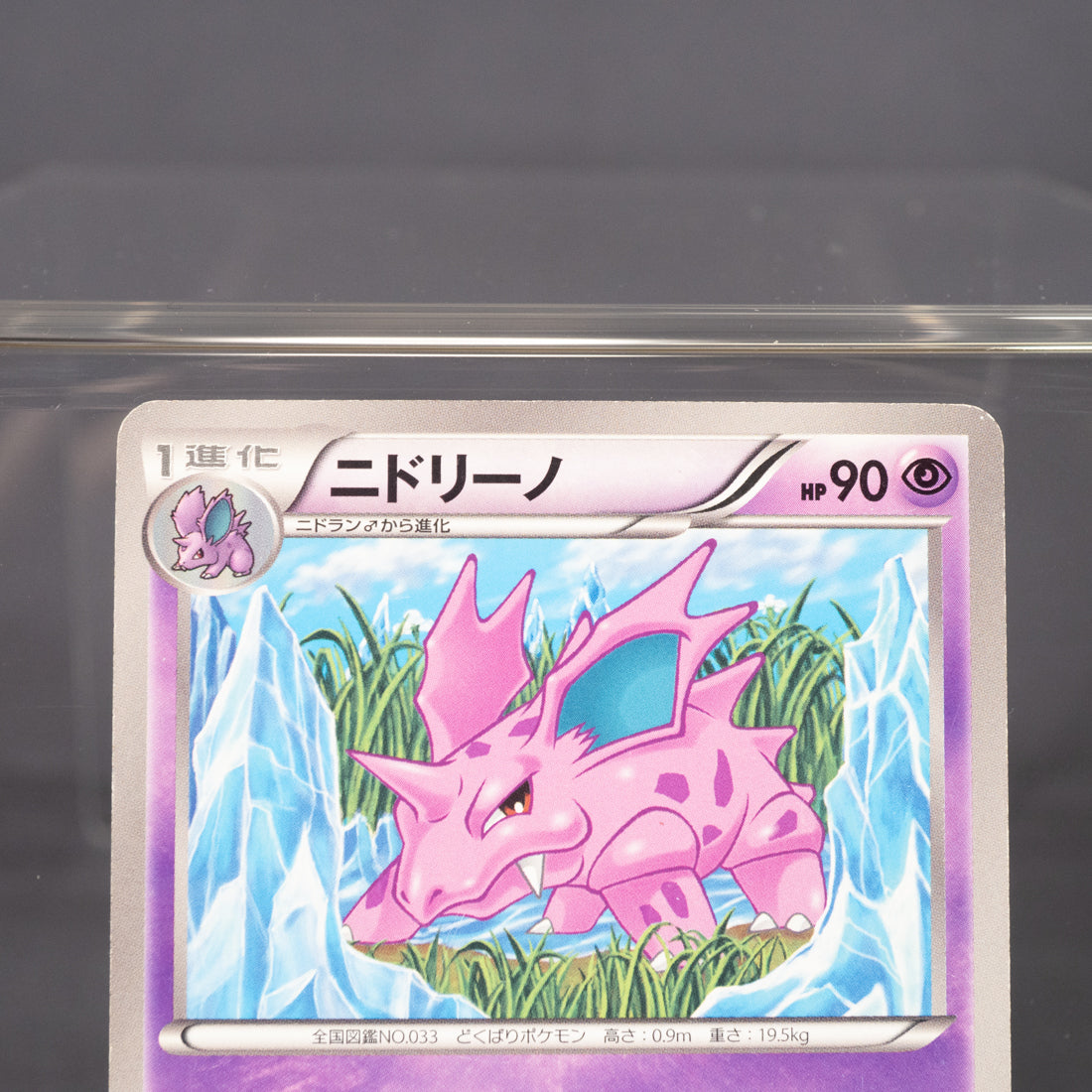 [MP] Nidorino 022/051 BW8   Pokemon Card TCG Japanese