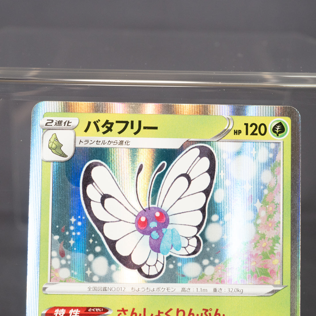 [LP] Butterfree  003/100  s8  Pokemon Card TCG Japanese