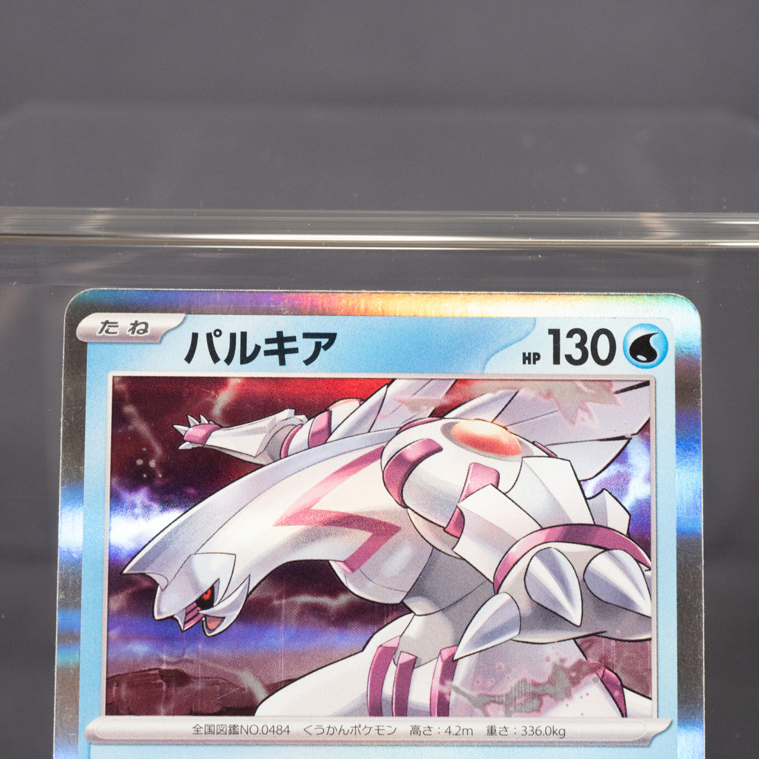 [LP] Palkia 008/062 R Holo   SV3a  Pokemon Card TCG Japanese