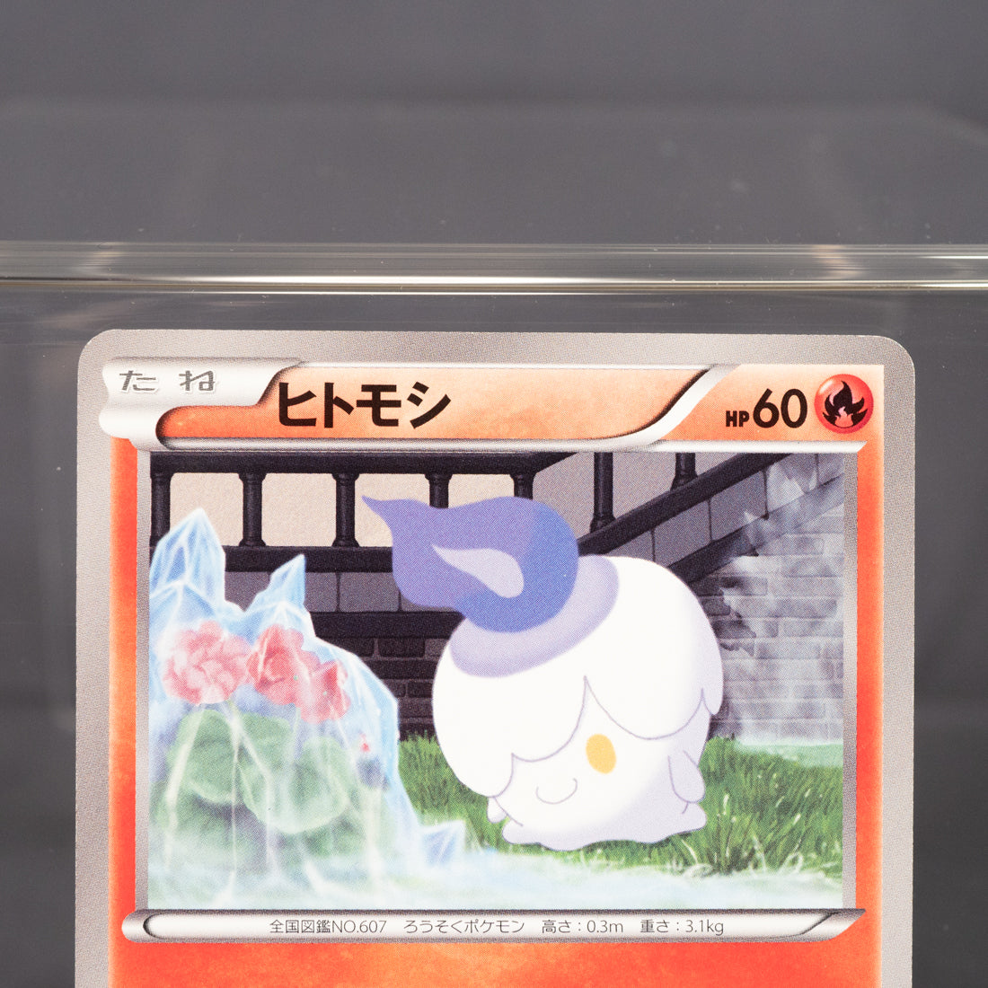 [LP]  Litwick 007/051 Bw8  Pokemon Card TCG Japanese