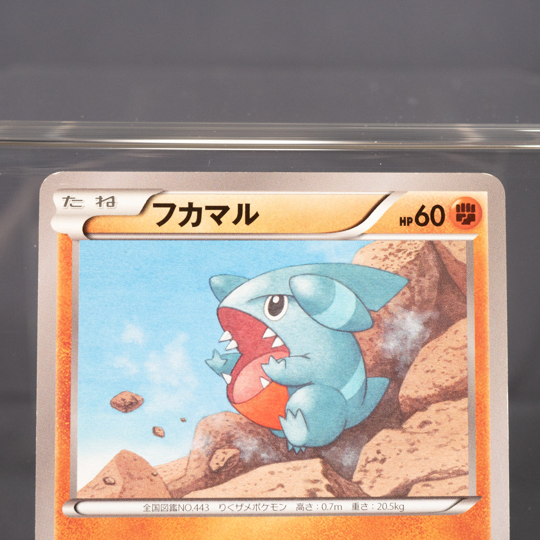 [LP] Gible 049/080 XY9  Pokemon Card TCG Japanese