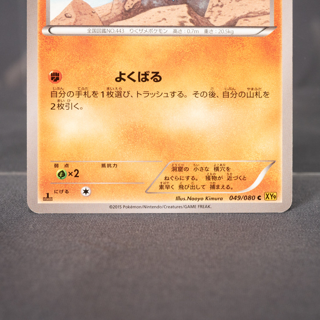 [LP] Gible 049/080 XY9  Pokemon Card TCG Japanese