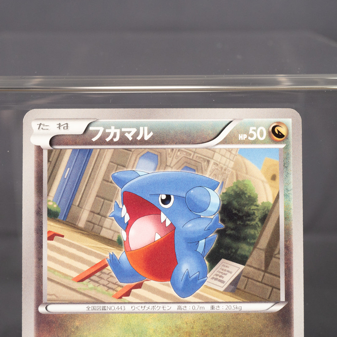 [LP] Gible 038/050 BW5  Pokemon Card TCG Japanese