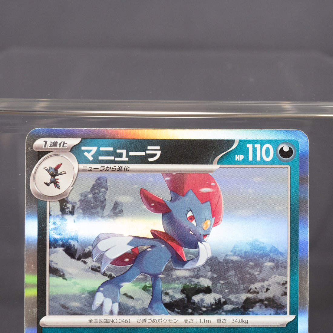 [MP] Weavile 120/190 Holo Rare sv4a  Pokemon Card TCG Japanese