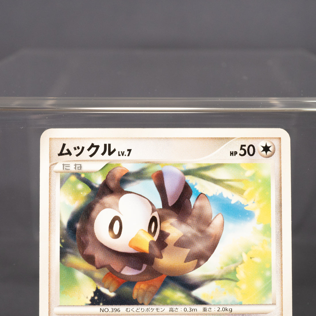 [LP] Starly 075/092  2008  Pokemon Card TCG Japanese