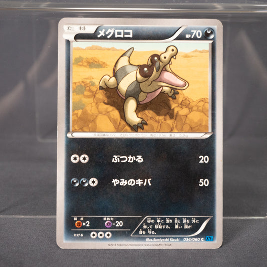 [MP] Sandile 034/060 XY1   Pokemon Card TCG Japanese