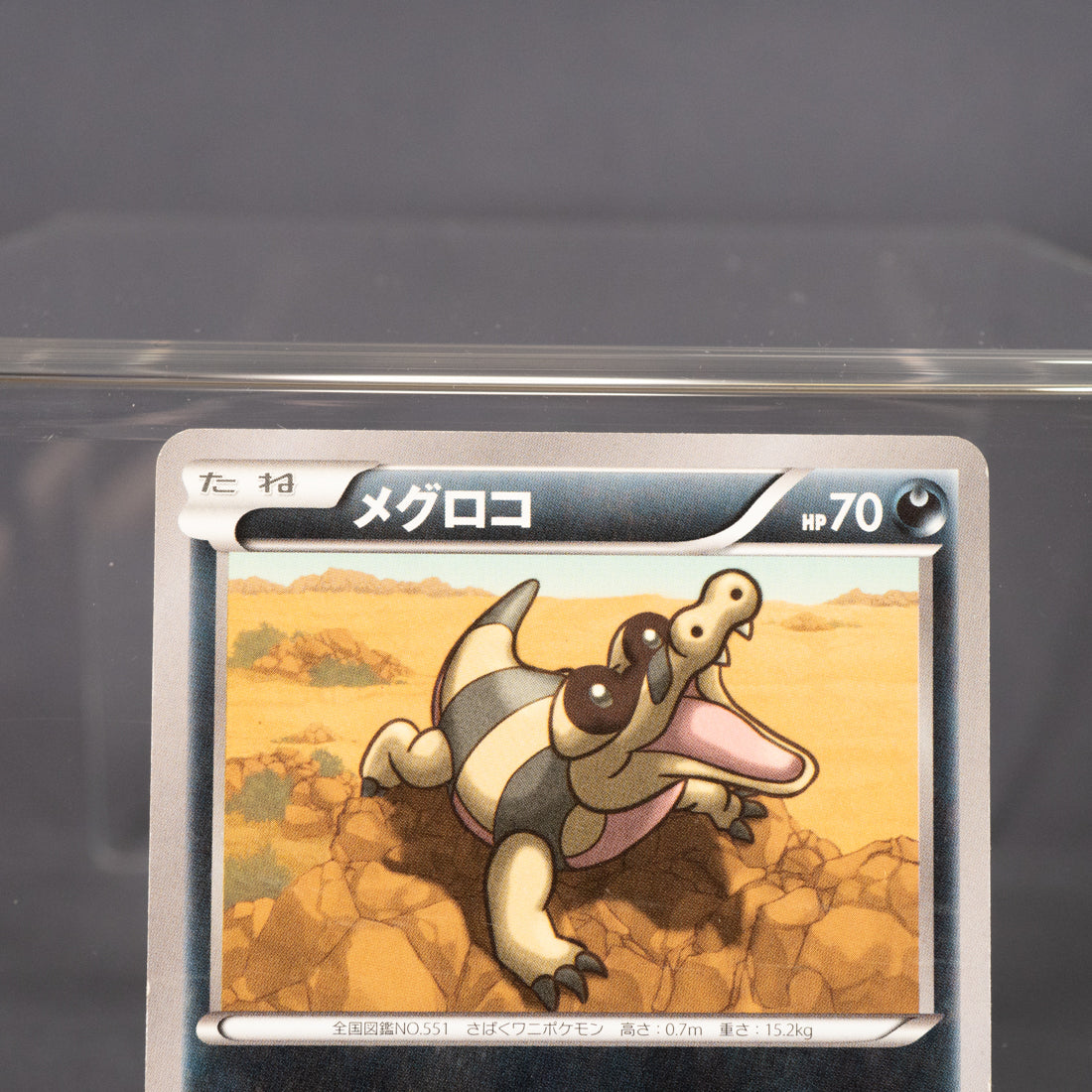 [MP] Sandile 034/060 XY1   Pokemon Card TCG Japanese