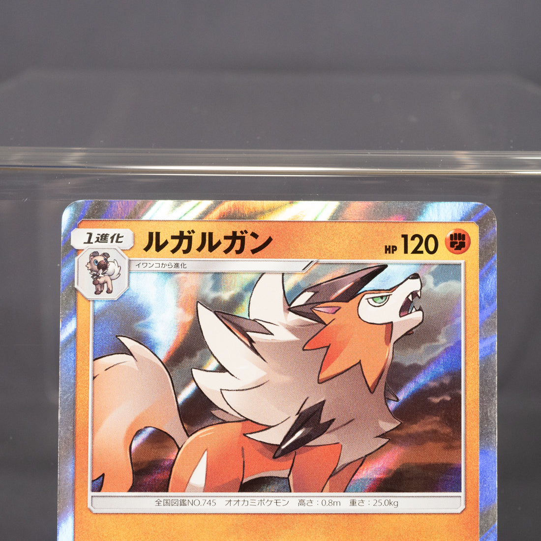 [LP] Lycanroc 053/094 R Holo sm6   Pokemon Card TCG Japanese