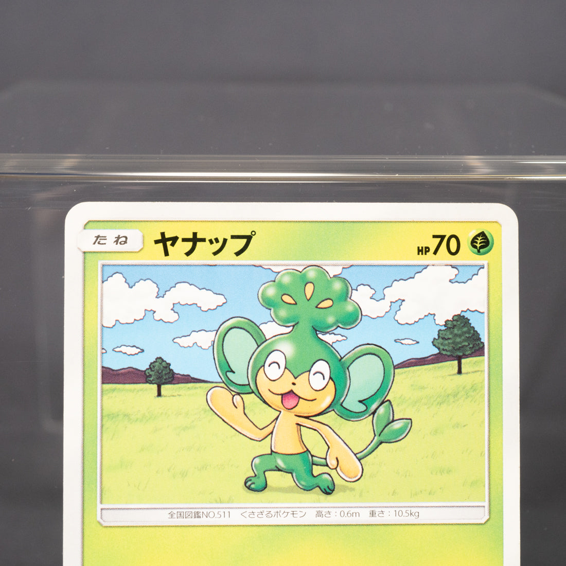 [LP] Pansage 005/051 sm3H  Pokemon Card TCG Japanese